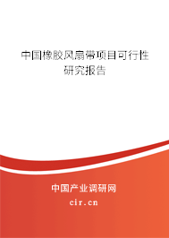中國橡膠風扇帶項目可行性研究報告