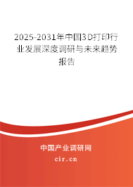2025-2031年中國(guó)3D打印行業(yè)發(fā)展深度調(diào)研與未來趨勢(shì)報(bào)告