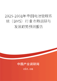 2025-2031年中國(guó)電池管理系統(tǒng)（BMS）行業(yè)市場(chǎng)調(diào)研與發(fā)展趨勢(shì)預(yù)測(cè)報(bào)告