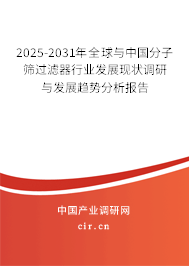 2025-2031年全球與中國分子篩過濾器行業(yè)發(fā)展現(xiàn)狀調(diào)研與發(fā)展趨勢分析報告