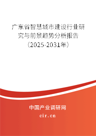 廣東省智慧城市建設(shè)行業(yè)研究與前景趨勢(shì)分析報(bào)告（2025-2031年）