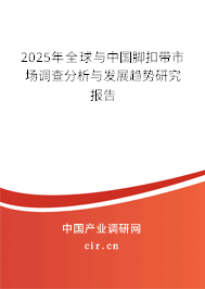 2025年全球與中國腳扣帶市場調(diào)查分析與發(fā)展趨勢研究報告