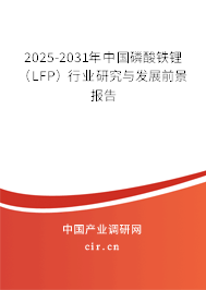 2025-2031年中國磷酸鐵鋰（LFP）行業(yè)研究與發(fā)展前景報告