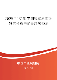 2023-2024年中國模塑料市場(chǎng)研究分析與前景趨勢(shì)預(yù)測(cè)
