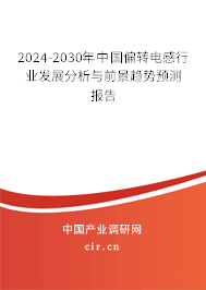 2024-2030年中國偏轉(zhuǎn)電感行業(yè)發(fā)展分析與前景趨勢預(yù)測報(bào)告