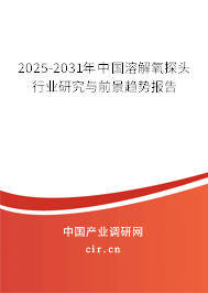 2025-2031年中國溶解氧探頭行業(yè)研究與前景趨勢報告