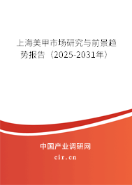 上海美甲市場研究與前景趨勢報(bào)告（2025-2031年）