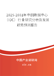 2025-2031年中國數(shù)據(jù)中心（IDC）行業(yè)研究分析及發(fā)展趨勢預(yù)測報告