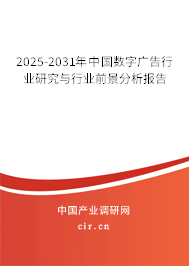 2025-2031年中國數(shù)字廣告行業(yè)研究與行業(yè)前景分析報告