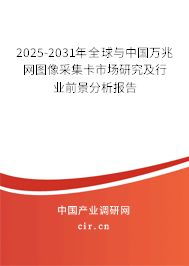 2025-2031年全球與中國萬兆網(wǎng)圖像采集卡市場研究及行業(yè)前景分析報(bào)告