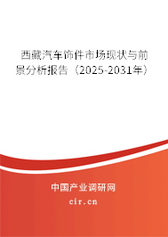 西藏汽車飾件市場現(xiàn)狀與前景分析報告（2025-2031年）