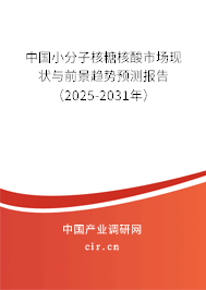 中國(guó)小分子核糖核酸市場(chǎng)現(xiàn)狀與前景趨勢(shì)預(yù)測(cè)報(bào)告（2025-2031年）