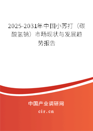 2025-2031年中國小蘇打（碳酸氫鈉）市場現(xiàn)狀與發(fā)展趨勢報告