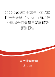 2022-2028年全球與中國選擇性激光燒結(jié)（SLS）打印機行業(yè)現(xiàn)狀全面調(diào)研與發(fā)展趨勢預(yù)測報告