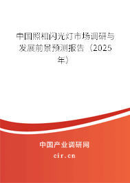 中國(guó)照相閃光燈市場(chǎng)調(diào)研與發(fā)展前景預(yù)測(cè)報(bào)告（2025年）