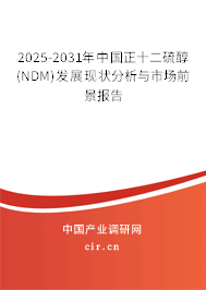 2025-2031年中國(guó)正十二硫醇(NDM)發(fā)展現(xiàn)狀分析與市場(chǎng)前景報(bào)告