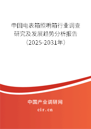 中國電表箱照明箱行業(yè)調(diào)查研究及發(fā)展趨勢(shì)分析報(bào)告（2025-2031年）