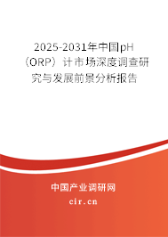 2025-2031年中國pH（ORP）計市場深度調(diào)查研究與發(fā)展前景分析報告
