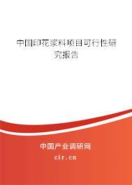 中國(guó)印花漿料項(xiàng)目可行性研究報(bào)告