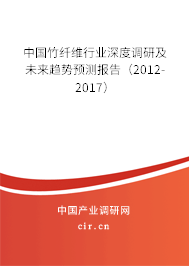 中國竹纖維行業(yè)深度調(diào)研及未來趨勢預(yù)測報告（2012-2017）