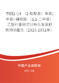 中國2-[[4-（2-吡啶基）苯基]甲基]-肼羧酸-（1,1-二甲基）乙酯行業(yè)研究分析與發(fā)展趨勢預(yù)測報告（2025-2031年）