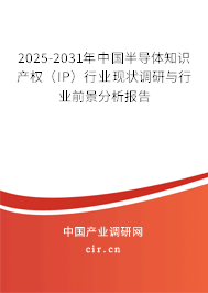 2025-2031年中國(guó)半導(dǎo)體知識(shí)產(chǎn)權(quán)（IP）行業(yè)現(xiàn)狀調(diào)研與行業(yè)前景分析報(bào)告