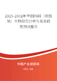 2025-2031年中國純堿（碳酸鈉）市場研究分析與發(fā)展趨勢預(yù)測報告