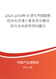 2024-2030年全球與中國磁性碳納米泡沫行業(yè)發(fā)展全面調(diào)研與未來趨勢預(yù)測報告
