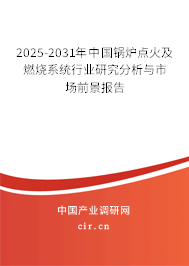 2025-2031年中國鍋爐點火及燃燒系統(tǒng)行業(yè)研究分析與市場前景報告