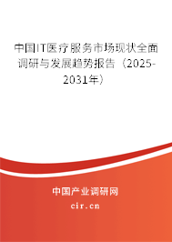 中國IT醫(yī)療服務(wù)市場現(xiàn)狀全面調(diào)研與發(fā)展趨勢報告（2025-2031年）