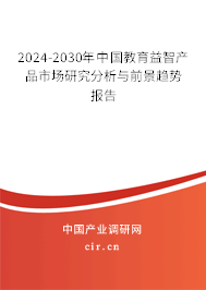 2024-2030年中國(guó)教育益智產(chǎn)品市場(chǎng)研究分析與前景趨勢(shì)報(bào)告