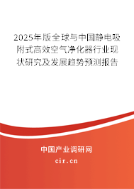 2025年版全球與中國靜電吸附式高效空氣凈化器行業(yè)現(xiàn)狀研究及發(fā)展趨勢預(yù)測報告