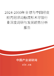 2024-2030年全球與中國經(jīng)皮腔內(nèi)冠狀動脈成形術(shù)導(dǎo)管行業(yè)深度調(diào)研與發(fā)展趨勢分析報告