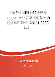 全球與中國靜態(tài)轉換開關（STS）行業(yè)發(fā)展調研與市場前景預測報告（2024-2030年）
