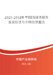 2025-2031年中國流媒體服務發(fā)展現(xiàn)狀與市場前景報告