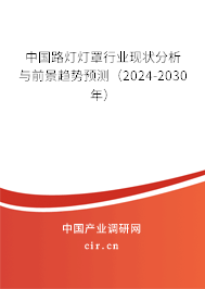 中國路燈燈罩行業(yè)現(xiàn)狀分析與前景趨勢預測（2024-2030年）