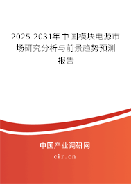 2025-2031年中國模塊電源市場研究分析與前景趨勢預(yù)測報告