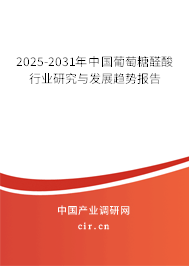 2025-2031年中國葡萄糖醛酸行業(yè)研究與發(fā)展趨勢(shì)報(bào)告