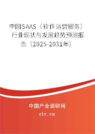 中國SAAS（軟件運(yùn)營服務(wù)）行業(yè)現(xiàn)狀與發(fā)展趨勢(shì)預(yù)測(cè)報(bào)告（2025-2031年）
