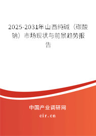 2025-2031年山西純堿（碳酸鈉）市場現(xiàn)狀與前景趨勢報告