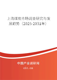 上海煤炭市場調查研究與發(fā)展趨勢（2025-2031年）
