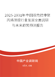 2025-2031年中國(guó)雙向拉伸聚丙烯薄膜行業(yè)發(fā)展全面調(diào)研與未來(lái)趨勢(shì)預(yù)測(cè)報(bào)告