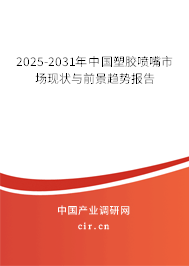 2025-2031年中國塑膠噴嘴市場現(xiàn)狀與前景趨勢報告