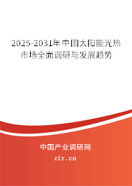 2025-2031年中國(guó)太陽(yáng)能光熱市場(chǎng)全面調(diào)研與發(fā)展趨勢(shì)