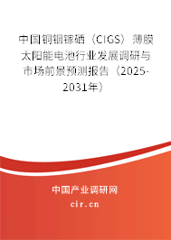中國(guó)銅銦鎵硒（CIGS）薄膜太陽(yáng)能電池行業(yè)發(fā)展調(diào)研與市場(chǎng)前景預(yù)測(cè)報(bào)告（2025-2031年）