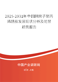 2025-2031年中國陰離子聚丙烯酰胺發(fā)展現(xiàn)狀分析及前景趨勢報告