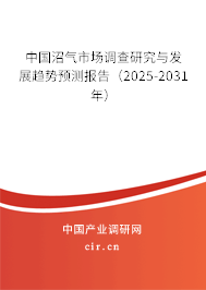 中國(guó)沼氣市場(chǎng)調(diào)查研究與發(fā)展趨勢(shì)預(yù)測(cè)報(bào)告（2025-2031年）