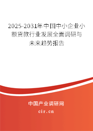 2025-2031年中國中小企業(yè)小額貸款行業(yè)發(fā)展全面調(diào)研與未來趨勢(shì)報(bào)告