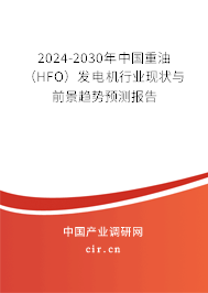 2024-2030年中國重油（HFO）發(fā)電機行業(yè)現(xiàn)狀與前景趨勢預(yù)測報告