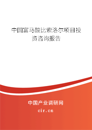 中國(guó)富馬酸比索洛爾項(xiàng)目投資咨詢(xún)報(bào)告